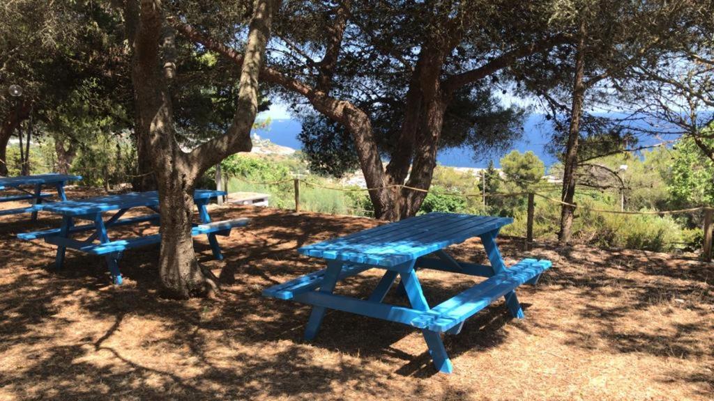 Camping La Scogliera Santa Cesarea Terme Luaran gambar